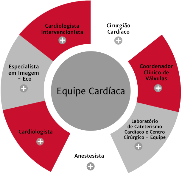 Roda de Sele&ccedil;&atilde;o3